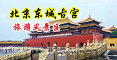 大黑吊内射中国北京-东城古宫旅游风景区